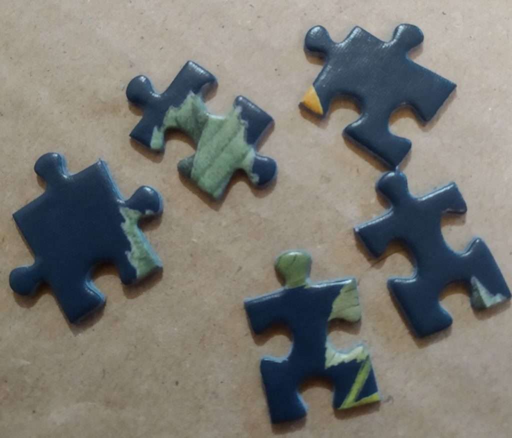 Dino puzzle Pieces shapes