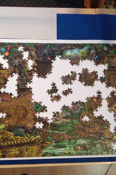 Puzzle in Progress