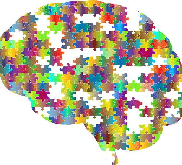 Puzzle brain