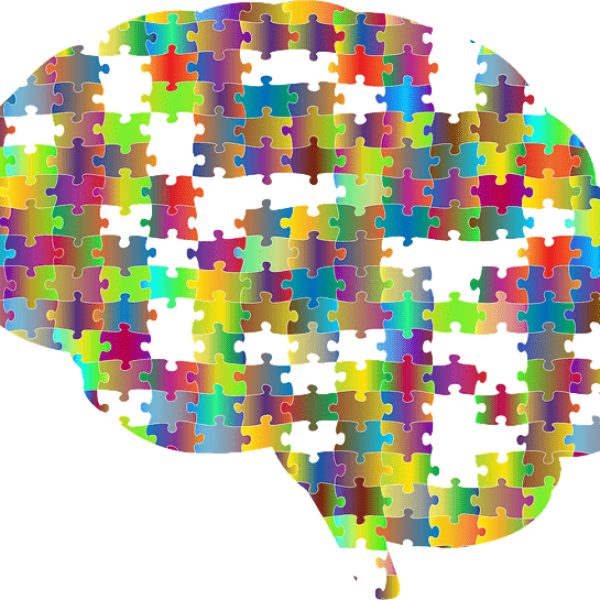 Puzzle brain