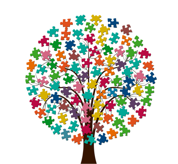 tree big